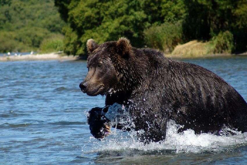 ��������� � ������.���������� ������� � ��� ��������� �� ������� ��������� ���� � ����� �������. ... - 8