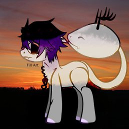 Feel, ������������, 24 ����