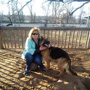 �����, , �����