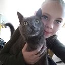 ���� ���������, ������������ - ��������� 8 ����� 2019 � ������ ���� ����������