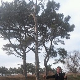 ��������, �����������, 64 ����