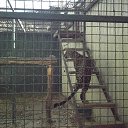 ���� ������, ��������� - ��������� 16 ������� 2018 � ������ ������ ������� �����������