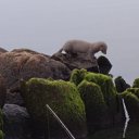 ���� ������, �����������, 62 ���� - ��������� 6 �������� 2018 � ������ ���� ����������