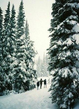 ���� - ��� ������: ��������, �����, �����-����� ������! ����� ���� ����� ����� ����� ��! - 5