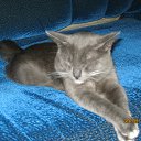 ���� ���, ������� - ��������� 27 �������� 2018 � ������ ���� ����������