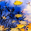 ���� Aleksa, ������, 30 ��� - ��������� 25 ������� 2018 � ������ ������ ��������