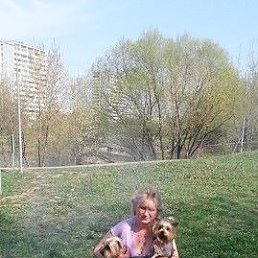 ���� �����, ������, 50 ��� - ��������� 19 ���� 2018