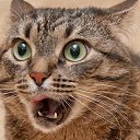  Eduardas, - -  4  2018    