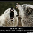���� �������, ������, 41 ��� - ��������� 6 ������� 2018 � ������ ���� ����������
