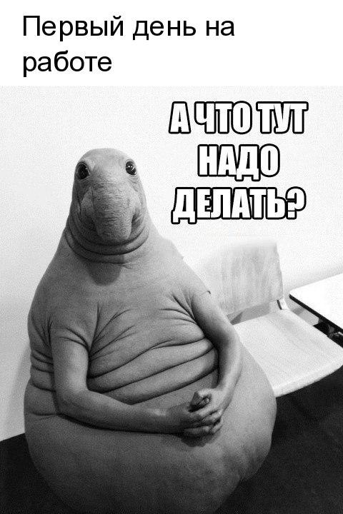   - 1  2018  17:22