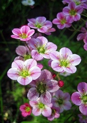  ! - 7  2018  10:03 - 2