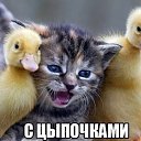 ���� �������, ������, 51 ��� - ��������� 3 ������� 2018 � ������ �������