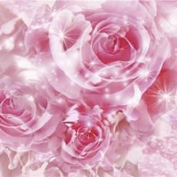 �������, ������, 63 ����