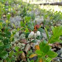 ���� Andrey, ��������, 38 ��� - ��������� 13 ���� 2018