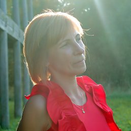 �����, ���������, 49 ���