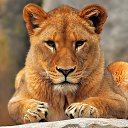 ���� Artem, �������, 37 ��� - ��������� 25 ������� 2018 � ������ ���� ����������
