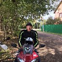 ���� ���������, ���������, 43 ���� - ��������� 18 ������� 2019 � ������ ���� ����������