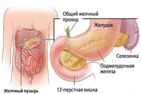 Современные методы лечения рака поджелудочной железы