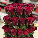  , , 49  -  10  2019   Roses