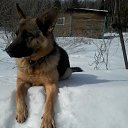 ���� ��������, ��������� - ��������� 29 ����� 2019 � ������ ���� ����������