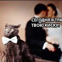 ���� �������, �����, 45 ��� - ��������� 1 ������� 2018 � ������ ���� ����������