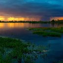 ���� �����, ��������, 59 ��� - ��������� 5 ������ 2018 � ������ ������ ��������