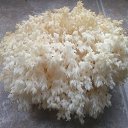 ���� ����, ��������� - ��������� 20 ������� 2018 � ������ ���� ����������