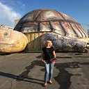 ���� �����, ������� - ��������� 17 ���� 2018