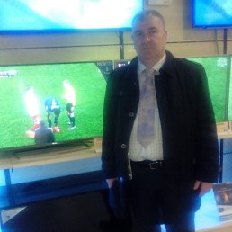 ������, �������, 56 ���