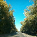 ���� ������, �����������, 42 ���� - ��������� 16 �������� 2018 � ������ ������ ��������