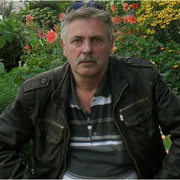 ����, �����-���������, 61 ���