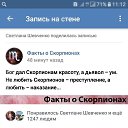 ���� ���, ����������, 41 ��� - ��������� 26 ����� 2019 � ������ ������ ��������