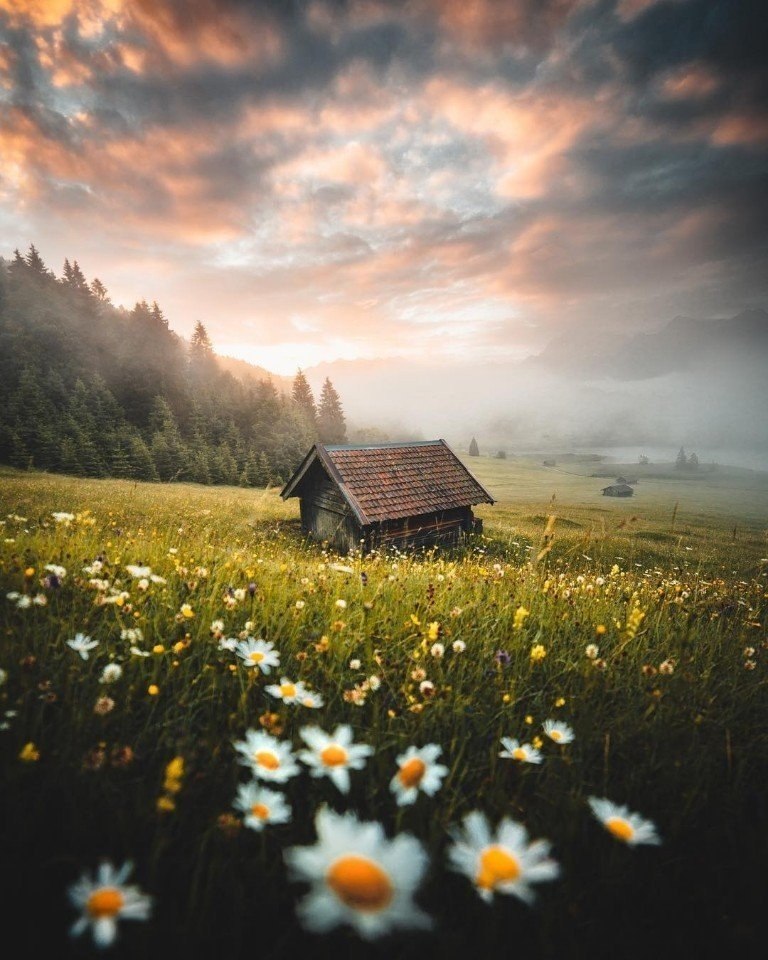 ,      https://fotostrana.ru/away?to=/sl/rhR2 Matt Cannon - 4