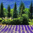 ���� ����, ���������, 40 ��� - ��������� 5 �������� 2018 � ������ ���� ����������