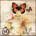 ���� Naida, ����� - ��������� 4 ������ 2019 � ������ ������ ��������