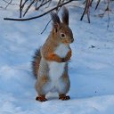 ���� ������, ������������ - ��������� 27 ����� 2019 � ������ ��������