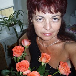 �������, ����, 64 ����