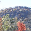 ���� Igor, ��� ����, 62 ���� - ��������� 7 ������ 2018 � ������ �Bear Mountain�