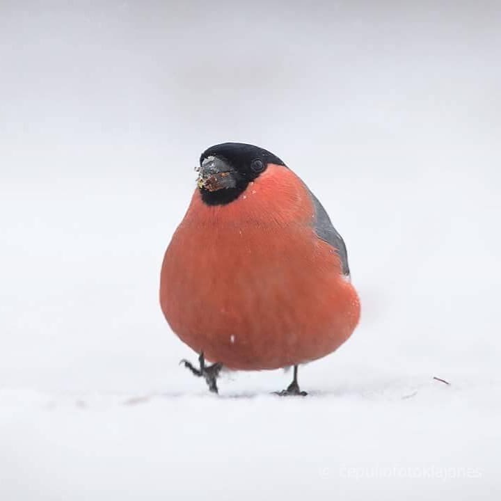  !  ! # #