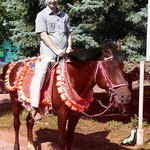 ���� Sergey, �����������, 60 ��� - ��������� 25 ������� 2018