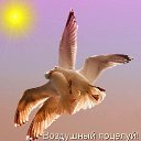 ���� Maksim, ������, 61 ��� - ��������� 11 ������� 2018 � ������ ������ ��������