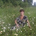 ���� 2018�