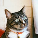 ���� �������, ����� - ��������� 13 ������� 2018 � ������ ���� ����������