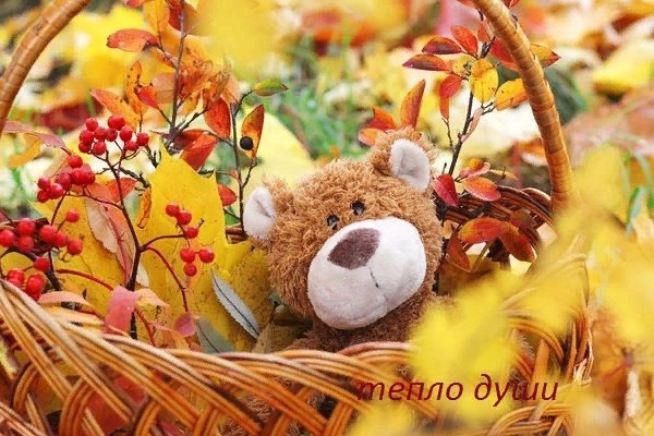 Если вдруг на сердце – осень, Не грусти. Коль душа свободы просит, Отпусти. Не кори себя напрасно, ...