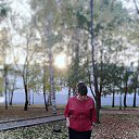  ,  , 50  -  25  2018    