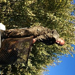 �������, ������, 49 ���