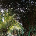 ,,25.02.19.10.55.        ,25.02.19.