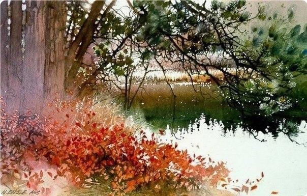 A��ape�� ���� ����. - 8