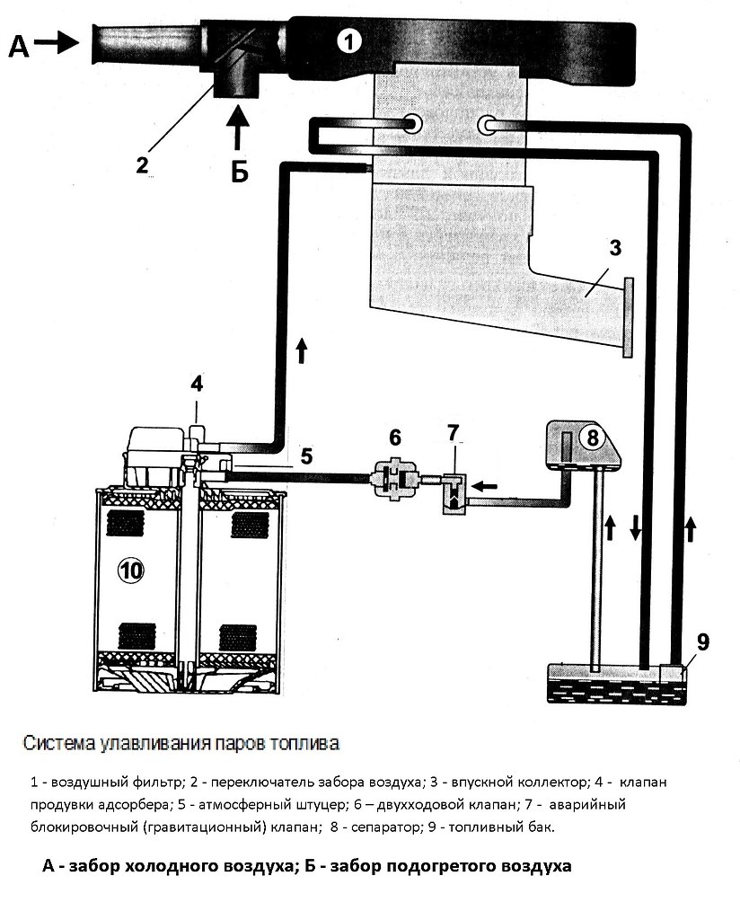 Система улавливания паров бензина - Раздел 4. Двигатель - Руководство по ремонту