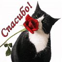 ���� �������, ������, 69 ��� - ��������� 9 ������ 2019